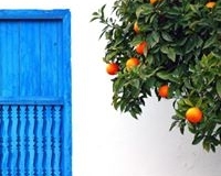 10888456_1065256860156079_8032048706490535189_n