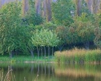 1920358_860339330647834_322967035_n