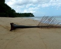 285388_624223470926089_1272748137_n