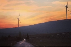 46018279_2498032213545196_3090894921331113984_o