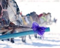 923446_852816301400137_194154436_n