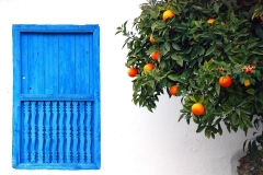 1653725_848425821839185_1438653812_n